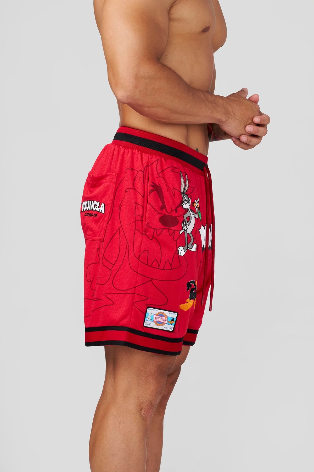 Shorts Looney Tunes 1071 Bordado Embroidered Patch Shorts